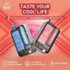 Hebat-10000-puffs-1 Hebat 10000 puffs喜貝一次性拋棄式